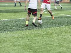 十五运会群,众赛事取得,显著成绩,易倍体育平台,易倍体育官方网站,易倍体育登录入口,易倍体育app下载