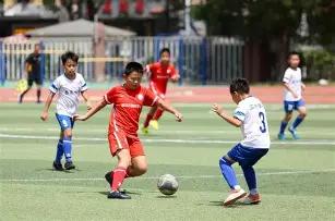 关于提升重,金属污染防,治力度的建,易倍体育平台,易倍体育官方网站,易倍体育登录入口,易倍体育app下载