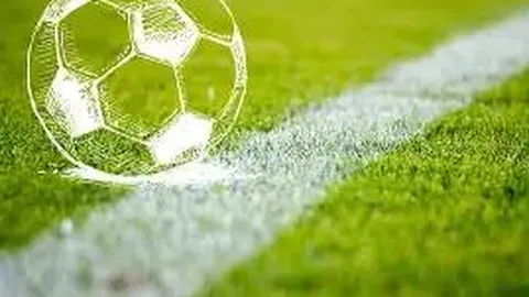 易倍体育 资讯 101948 x33