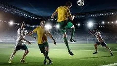 TP 钱包：Web3时代的全能门户——官方指南，安装步骤详尽