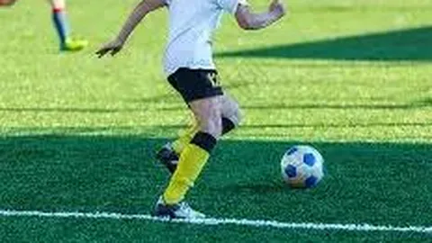 易倍体育 资讯 090352 1b5