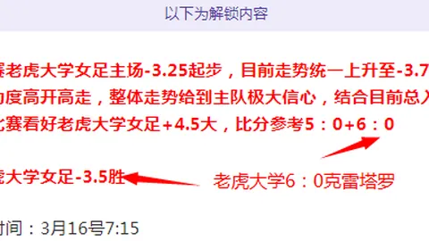梦幻西游轻享服情侣赛：老友重逢轻享竞技，情侣组合勇夺冠军